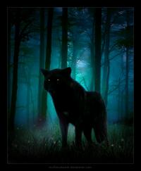 Loup.jpg