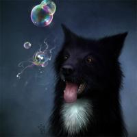 dream_by_nimportant-d3be25h.jpg