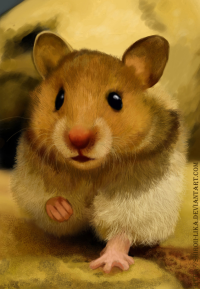 hamster_by_shiroii_lika-d4dmffq.png
