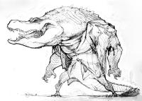desert_gator_by_mr__jack-d32li3c.jpg