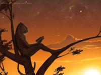 My_Favorite_Spot_by_Myenia.jpg