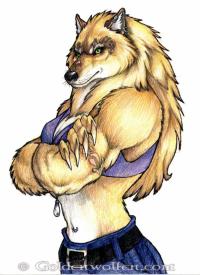 Golden_Werewolf_by_Goldenwolf.jpg