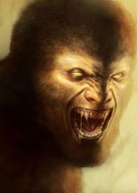 Werewolf_or_Wolfman_by_bumhand.jpg