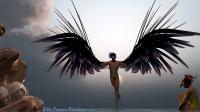 the_avian_king_by_odilicious-d5gnouu.jpg
