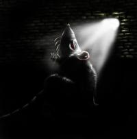 Black_rat_by_DiBBiEZ.jpg