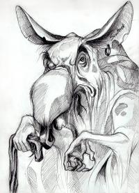 old_rat_hermit_by_scooterek-d4m80wi.jpg