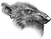 skaven_head_by_toshircheg-d3ffux8.jpg