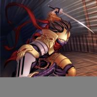 ufs_ninja_attack_by_brolo-d47oefo.jpg