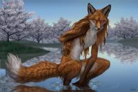 vixen11_by_myenia-d36szlv.jpg