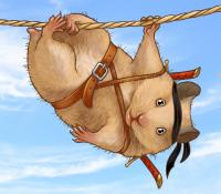 Ninja_hamster_by_scargeear.jpg