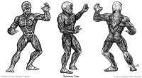 d5ae748dcd0b2f850a62d2dc7831f5a5-d4uar8y.jpg
